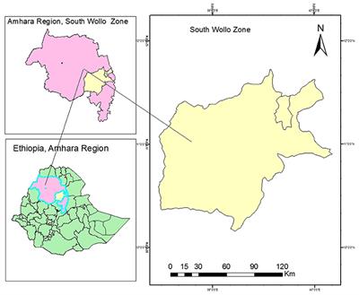 Prevention Practice of COVID-19 Using Personal Protective Equipment and Hand Hygiene Among Healthcare Workers in Public Hospitals of South Wollo Zone, Ethiopia